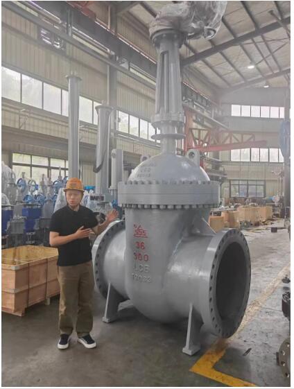 行走閥門江湖數(shù)十載！挺宇流體智能化新工廠預計2026年10月投入使用，開啟文化傳播新篇章