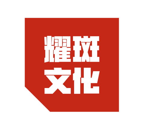 重慶耀斑文化傳播